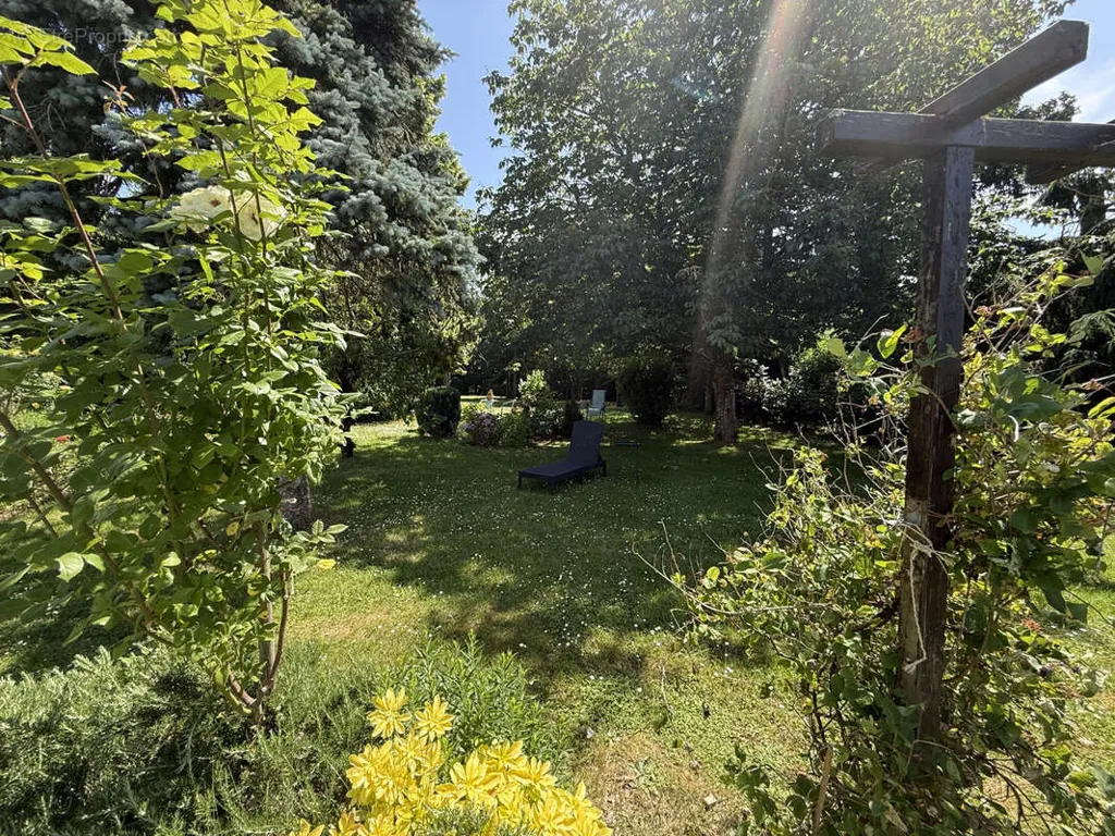 Jardin - Maison Rénovée avec Parc à Crezancy-En-Sancerre