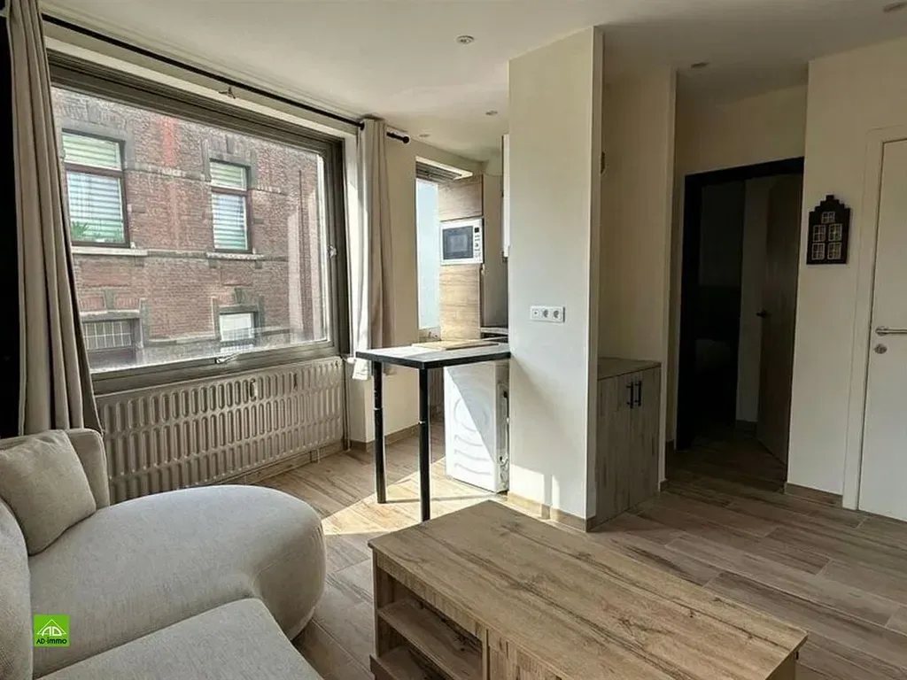 Soggiorno - Renovated Apartment near Namur Centre