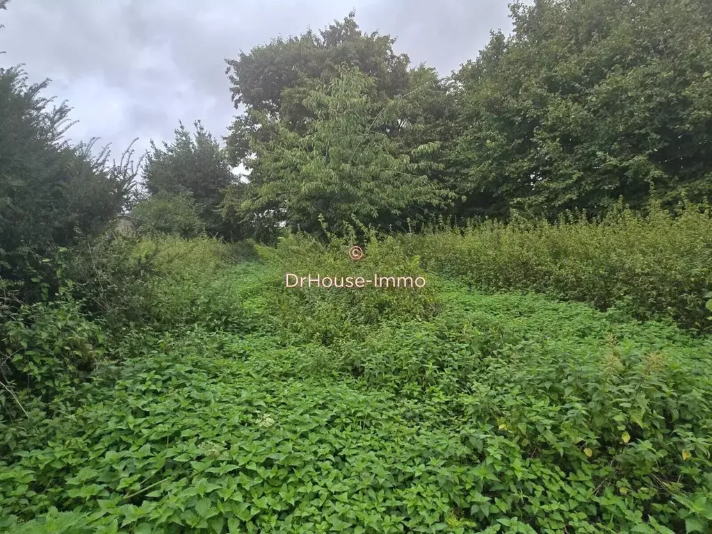 Garden - Constructible Land with Double Access in Rethonvillers