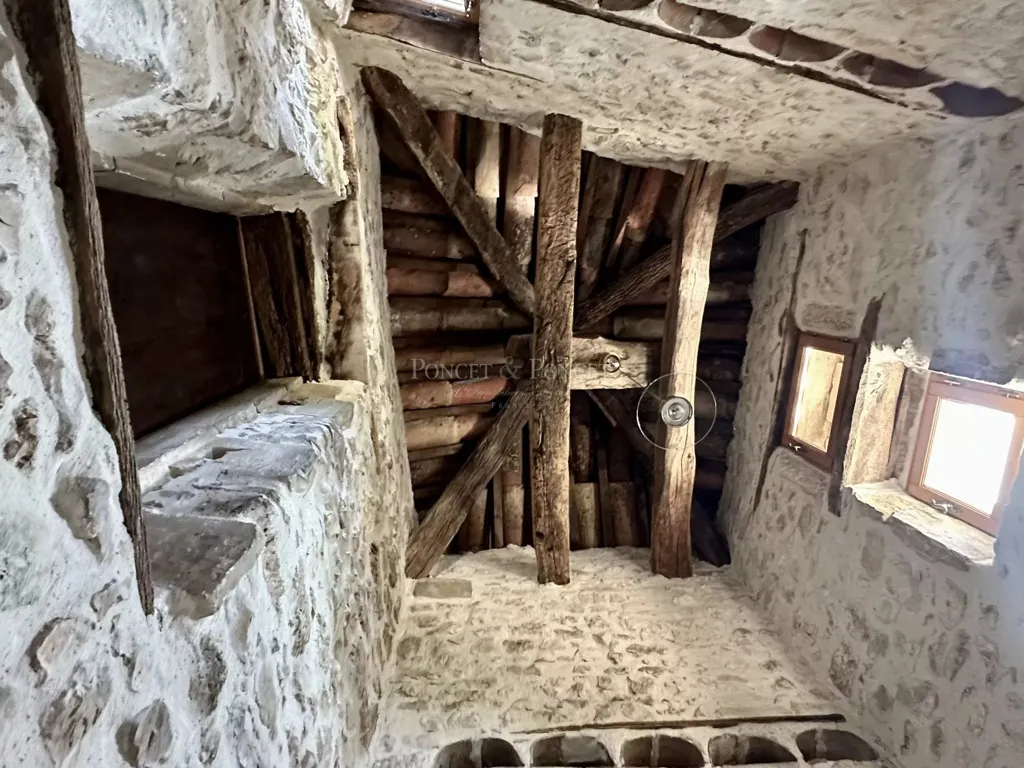 Toad - Restored 17th-Century Silk Farm with Pool in Ardèche