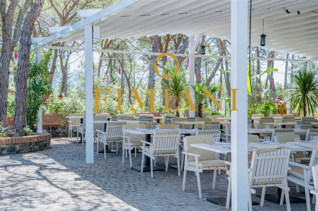 Terrasse - Luxury Hotel with Pool in Greve in Chianti