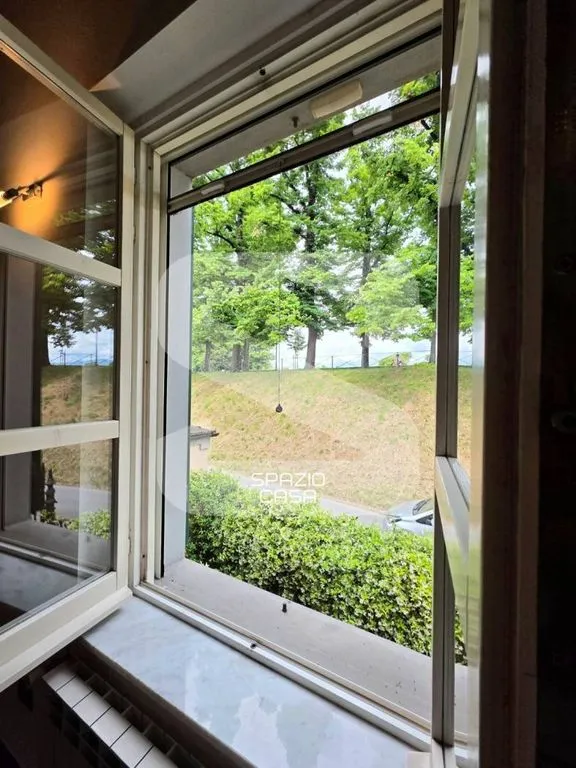 Toad - Luxury Flat with Historic View in Lucca