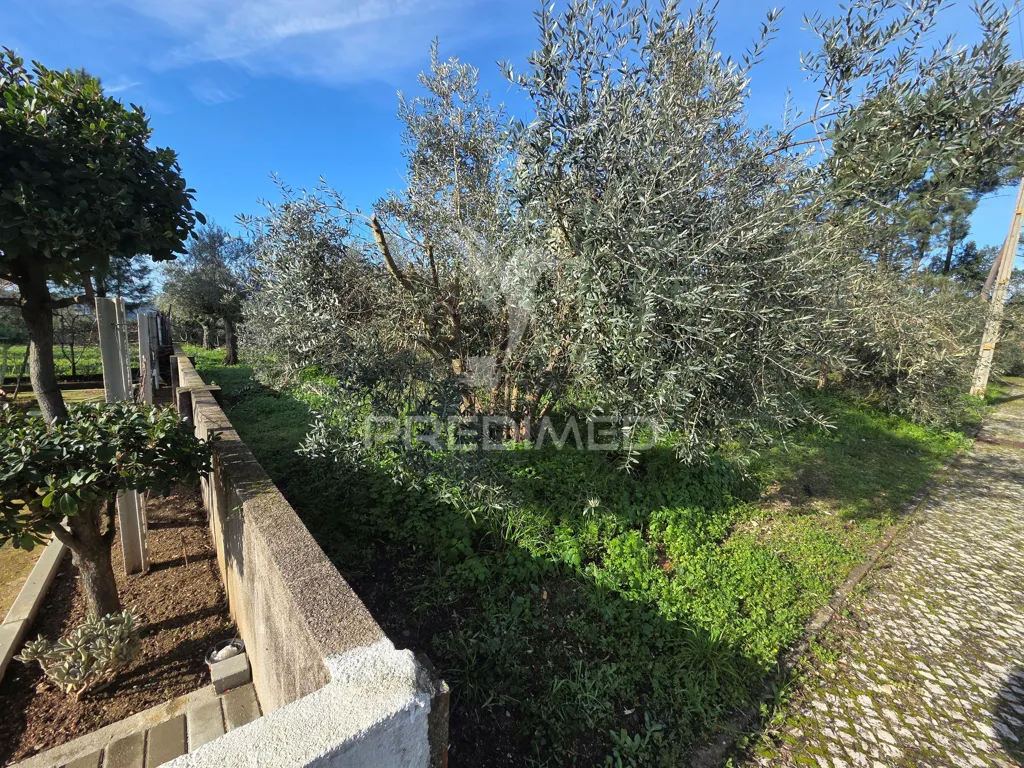 Aed - Urban Plot with Construction Permit in Ribatejo