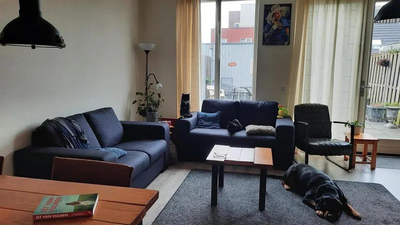 living_room