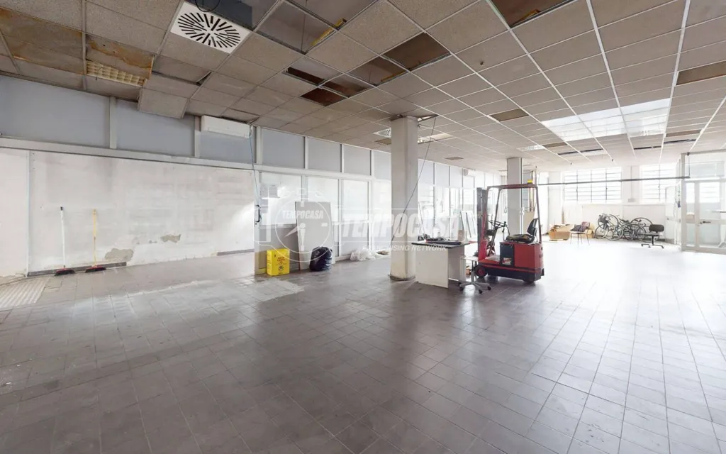 Toad - Warehouse with Development Potential in Turin