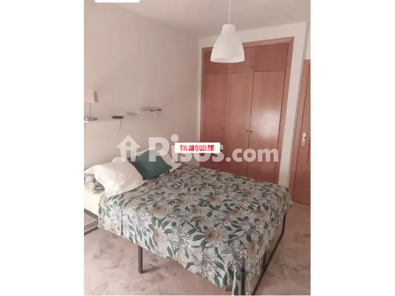 Magamistoad - Duplex with Terrace in Perchel