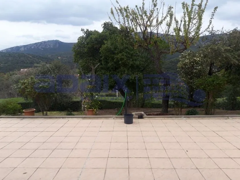 Terrasse - Chalet with Garden in Almodóvar del Campo