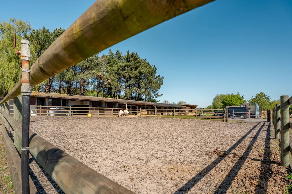 Giardino - Renovated House with Equestrian Facilities in Oudenburg