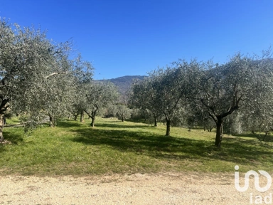 Garden - Building Land with Approved Villa Project in Costermano