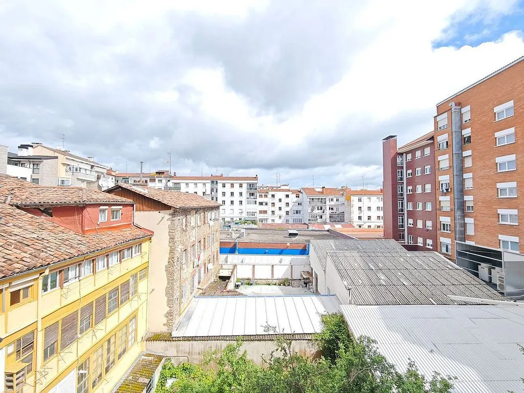 Garden - 1-Bedroom Flat with Balcony in Santiago Centre