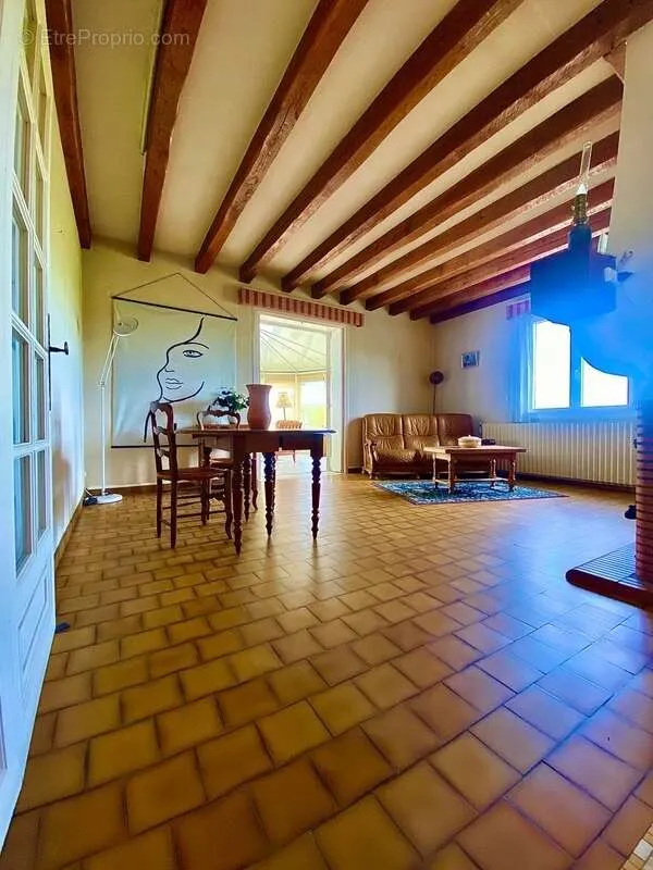 Living Room - House with Panoramic View and Troglodyte Cellars in Luynes
