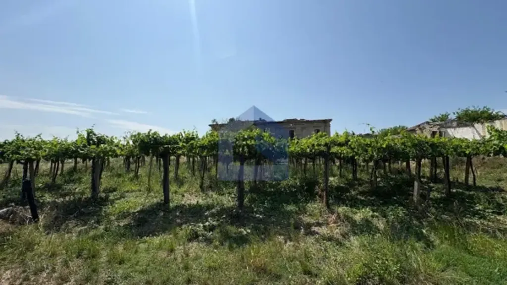 Aed - Rustic Casale for Restoration in San Vito Chietino