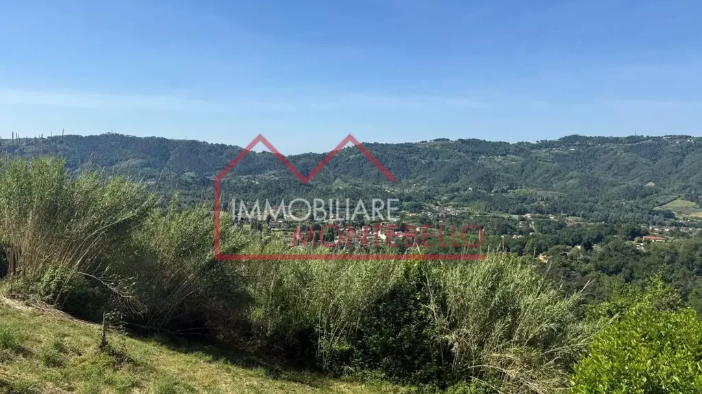 Jardin - Tuscan Rustico with Sea View in Camaiore