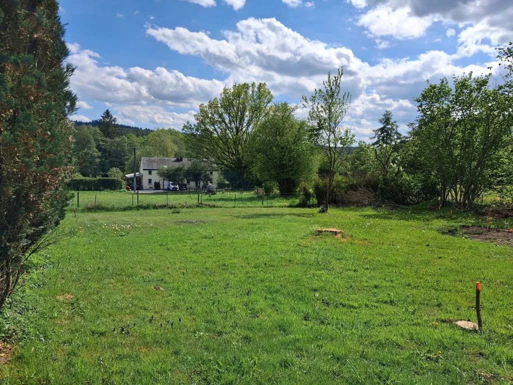 Jardin - Maison avec Jardin et Terrasse à Vielsalm