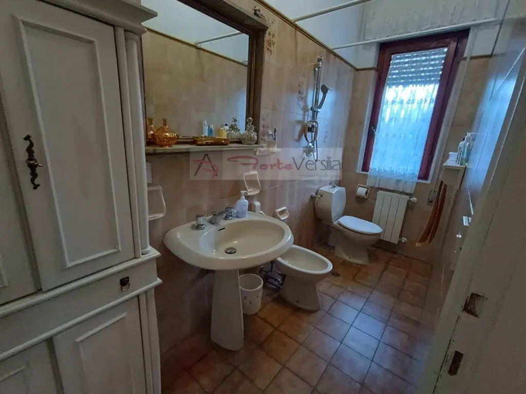 Vannitoad - Central Villa with Garden in Forte Dei Marmi
