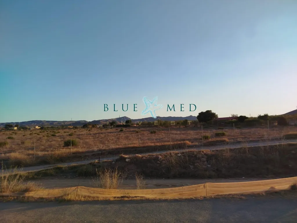 Aed - Rustic Plot with Olive Trees in La Magdalena