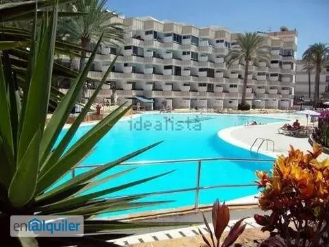 Piscine - Studio with Sea View in Maspalomas