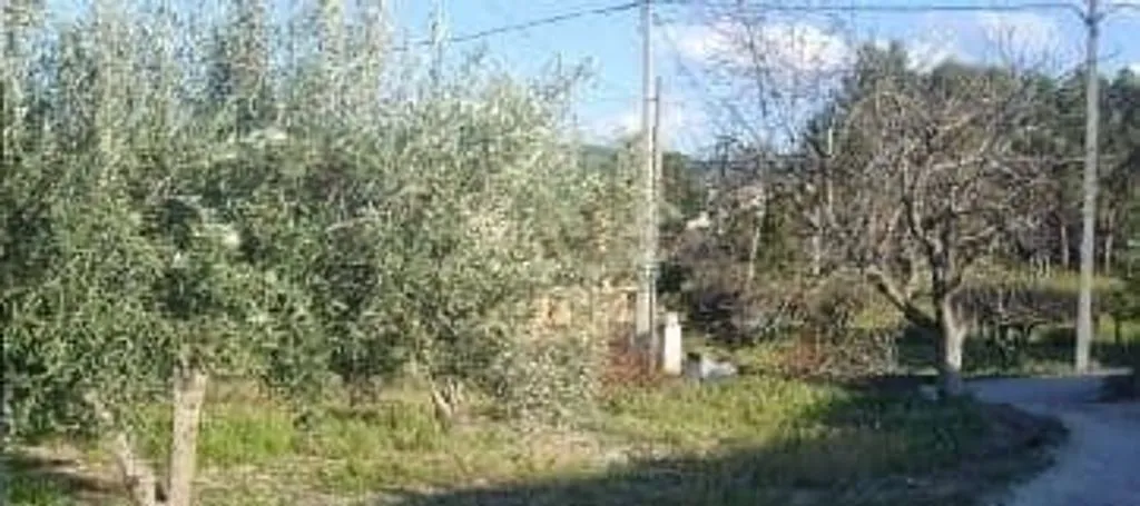 Jardin - Rustic Land with Security in Ontinyent