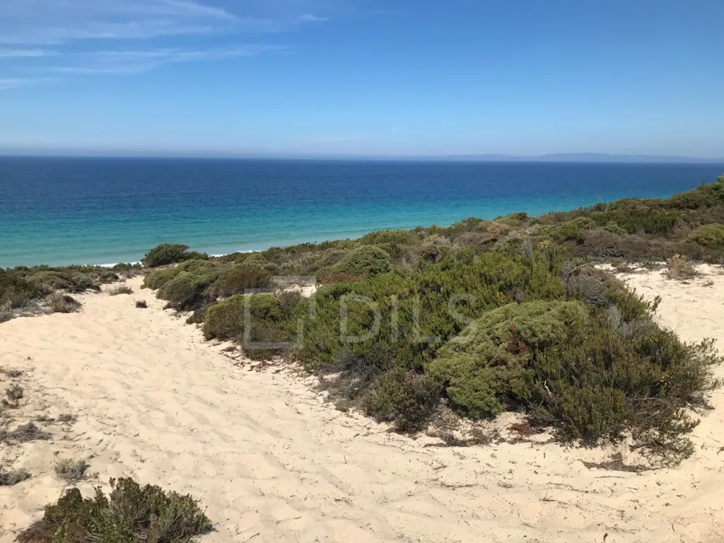 Jardin - T2 House with Private Pool in Comporta