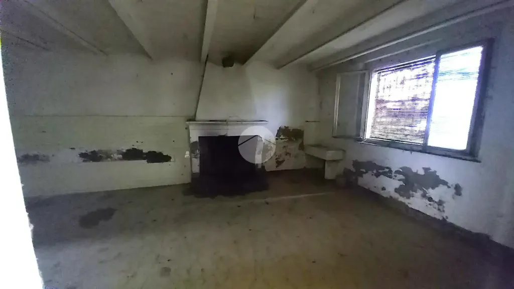 Toad - Rustic Property with Garden in Lugo