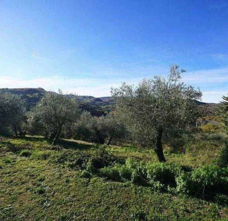 Jardin - Luxury Villa with Pool in Arcidosso, Tuscany