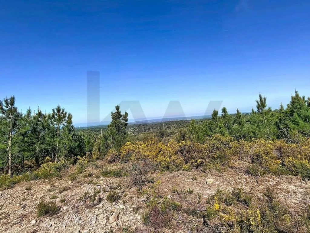 Jardin - Development Land with Water Features in Sesimbra