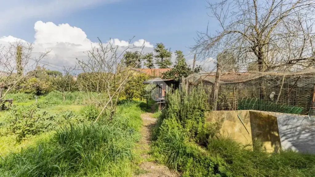 Jardin - Studio with Private Garden in Bracciano