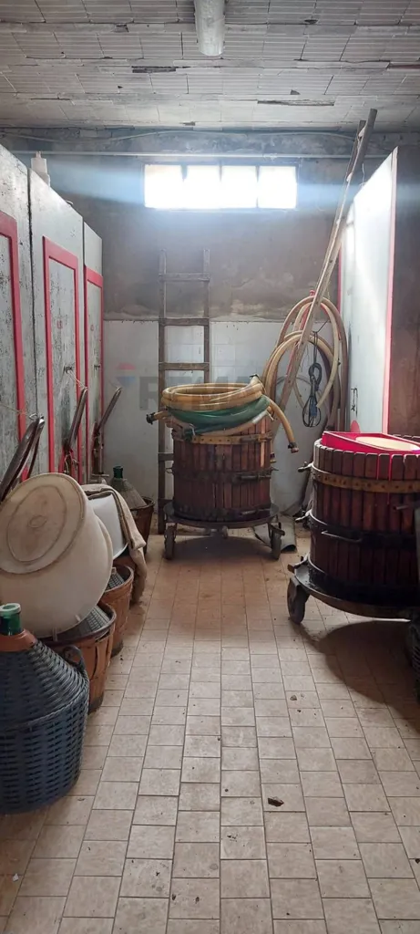 Pesuköök - Wine Cellar with Vineyard in Vinci