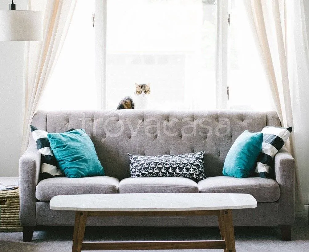 living_room