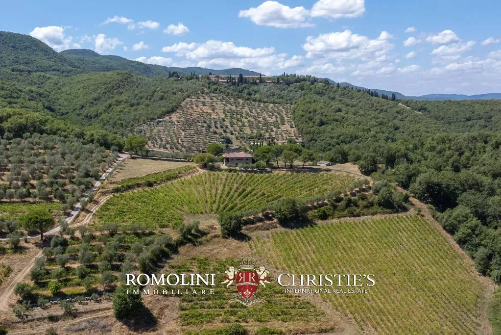 Aed - Rustic Farmhouse with Panoramic Views in Chianti