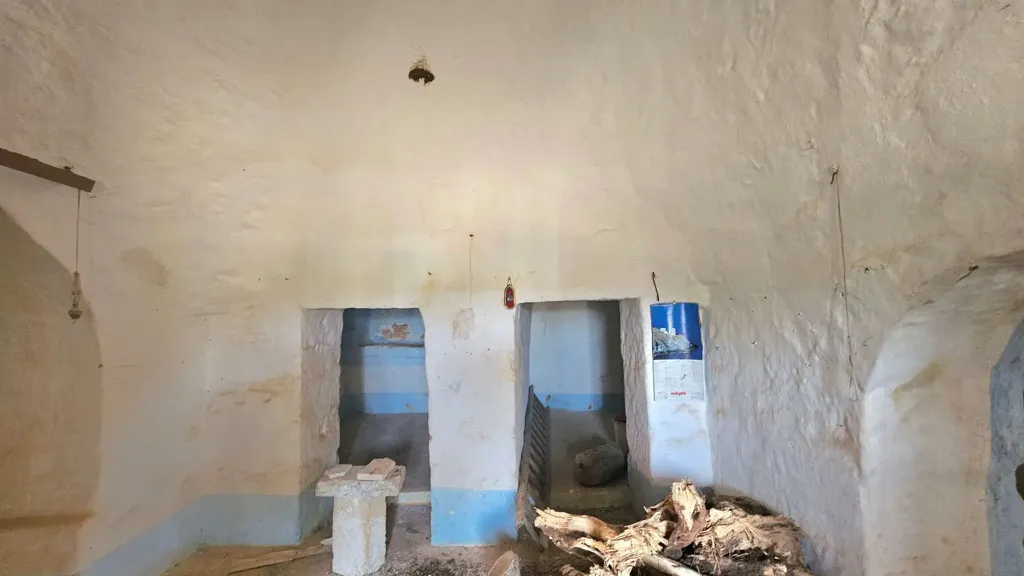 Buanderie - Trullo with Olive Grove in Carovigno